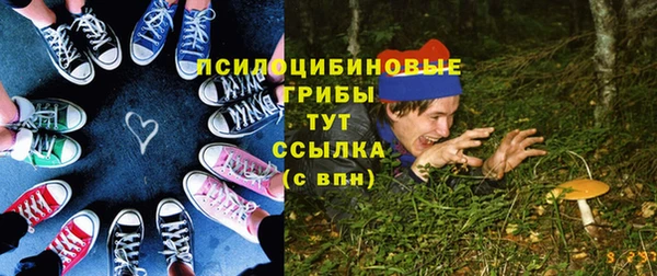 ГАЛЛЮЦИНОГЕННЫЕ ГРИБЫ Надым