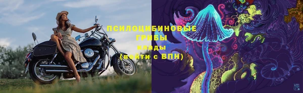 ГАЛЛЮЦИНОГЕННЫЕ ГРИБЫ Надым