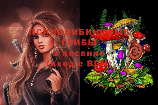 ГАЛЛЮЦИНОГЕННЫЕ ГРИБЫ Надым