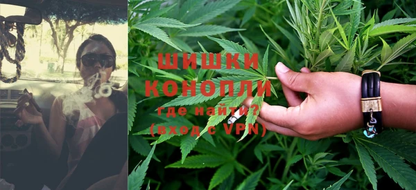 ГАЛЛЮЦИНОГЕННЫЕ ГРИБЫ Надым
